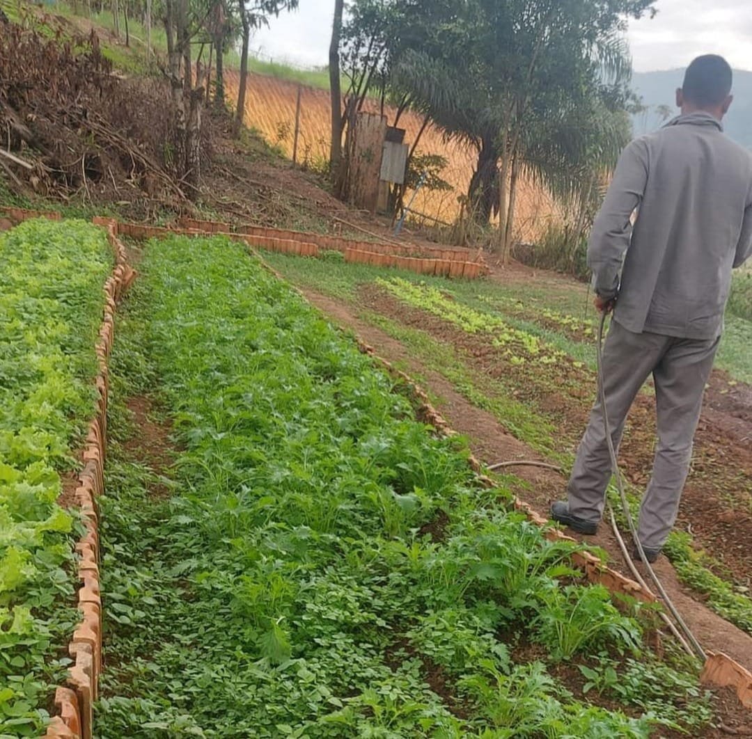 WhatsApp Image 2025-01-24 at 13.09.44 (1)