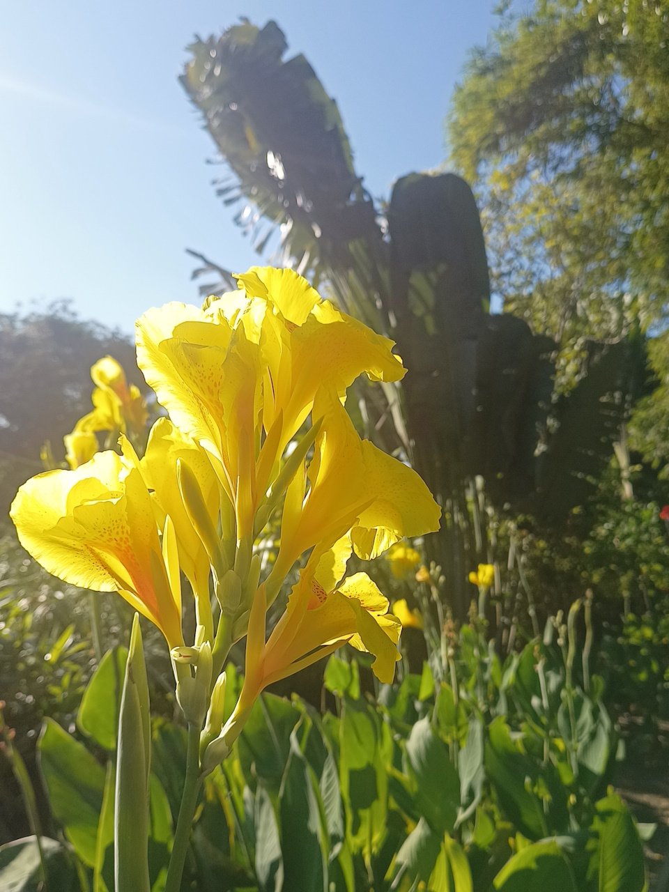 IMG_20240720_074738031